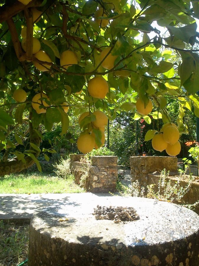 Hotel Gentilini Retreat Argostoli  Esterno foto